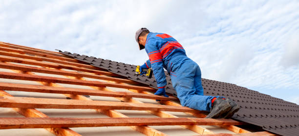 Best Roof Moss and Algae Removal  in Golden Shores, AZ